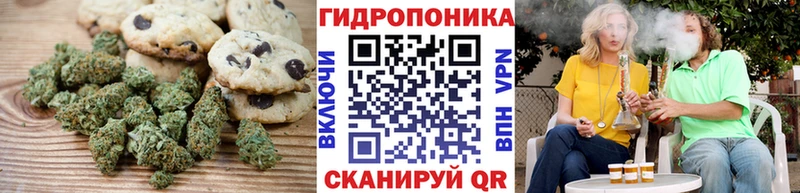 где найти   Кольчугино  Canna-Cookies марихуана 