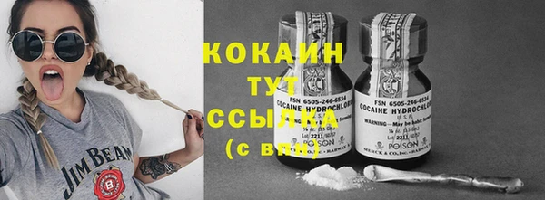 сатива Новозыбков