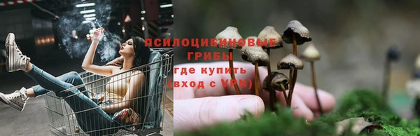 mdpv Алексеевка