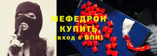сатива Новозыбков