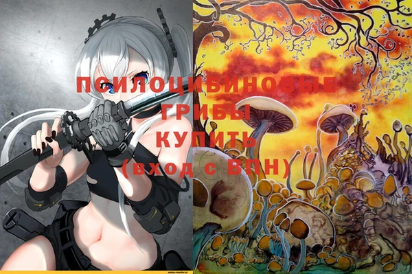 шишки Алексин