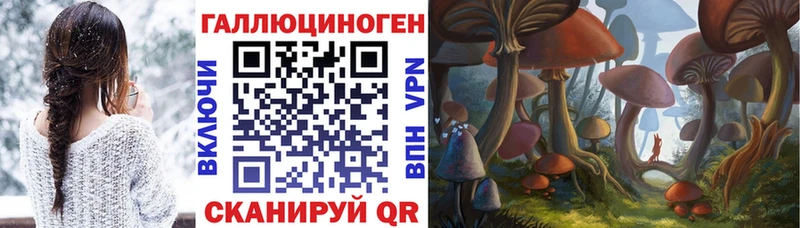 Галлюциногенные грибы Cubensis  наркотики  площадка формула  Кольчугино 